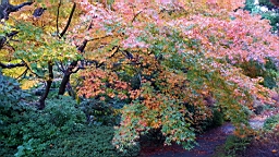 20151119_070938.jpg
