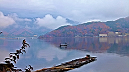2015-11-201181.JPG
