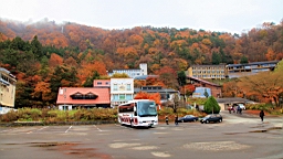 2015-11-201205.JPG