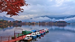 2015-11-201212.JPG
