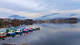 2015-11-201217.JPG