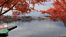 2015-11-201228.JPG