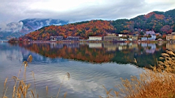 2015-11-201233.JPG