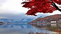 2015-11-201246.JPG