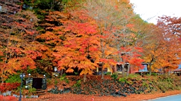 2015-11-201304.JPG