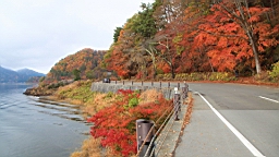 2015-11-201306.JPG
