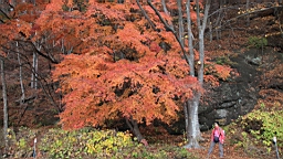 2015-11-201311.JPG