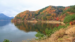 2015-11-201318.JPG