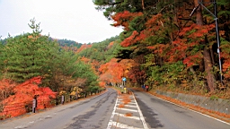 2015-11-201319.JPG