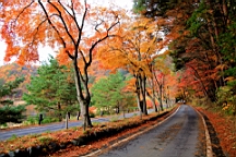 2015-11-201321.JPG