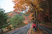 2015-11-201323.JPG