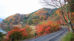 2015-11-201325.JPG