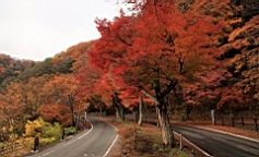 2015-11-201328.JPG