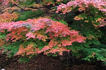 2015-11-201330.JPG