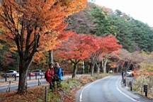 2015-11-201333.JPG