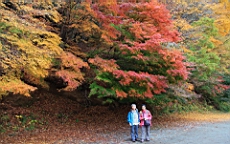 2015-11-201336.JPG