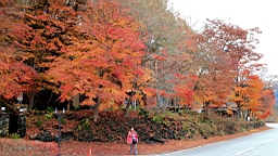 2015-11-201339.JPG