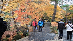 2015-11-201345.JPG