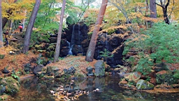 2015-11-201346.JPG
