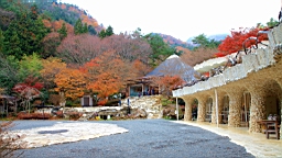 2015-11-201348.JPG