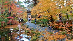 2015-11-201351.JPG