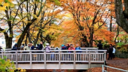 2015-11-201353.JPG