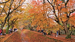2015-11-201357.JPG