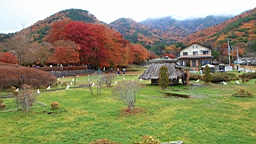 2015-11-201362.JPG
