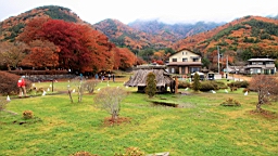 2015-11-201363.JPG