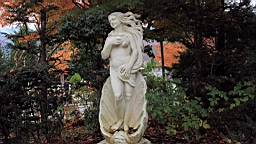 2015-11-201367.JPG