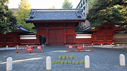 2015-11-211403.JPG