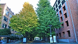 2015-11-211404.JPG