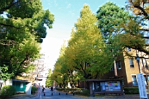 2015-11-211429.JPG