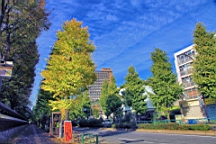 2015-11-211435.JPG