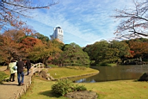 2015-11-211437.JPG