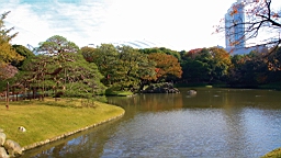 2015-11-211439.JPG