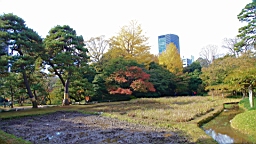 2015-11-211446.JPG