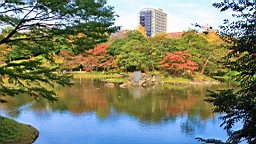 2015-11-211458.JPG