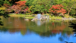 2015-11-211459.JPG