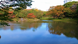 2015-11-211460.JPG