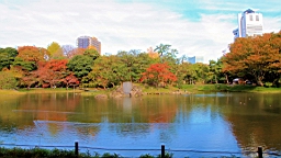 2015-11-211461.JPG