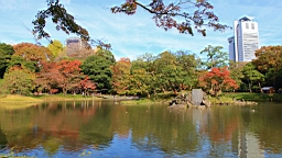 2015-11-211466.JPG