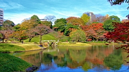 2015-11-211467.JPG