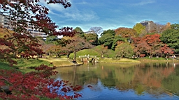 2015-11-211472.JPG