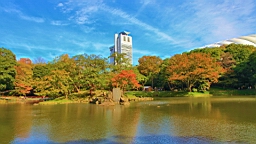 2015-11-211474.JPG