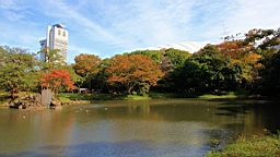 2015-11-211475.JPG
