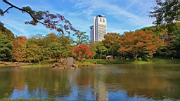 2015-11-211477.JPG