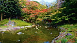 2015-11-211484.JPG