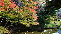 2015-11-211490.JPG