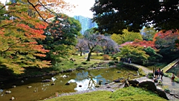 2015-11-211491.JPG